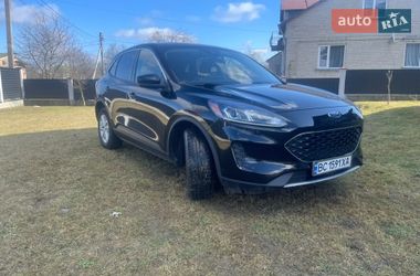 Внедорожник / Кроссовер Ford Escape 2020 в Сокале