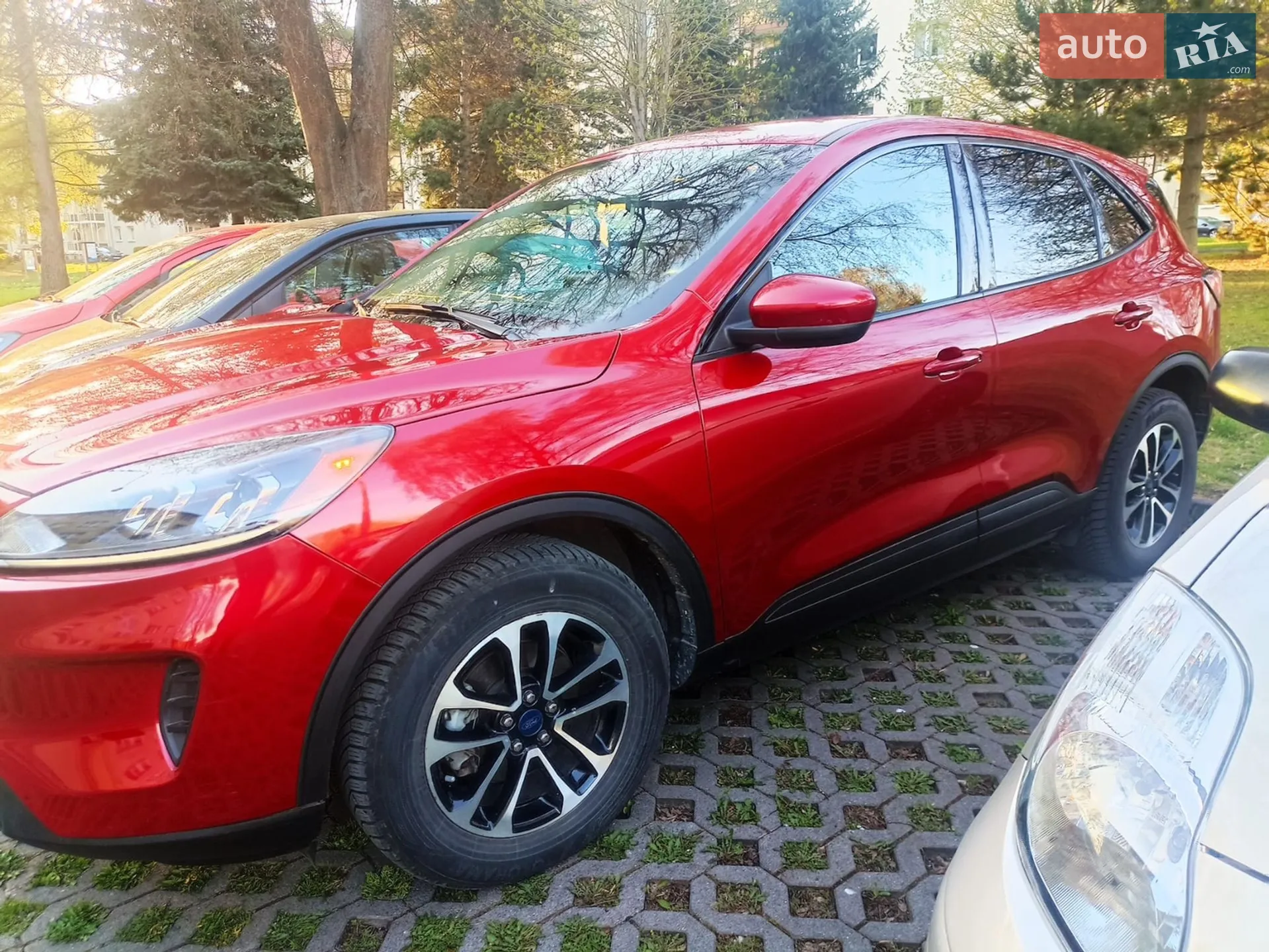 2020 Ford Escape - фото 1