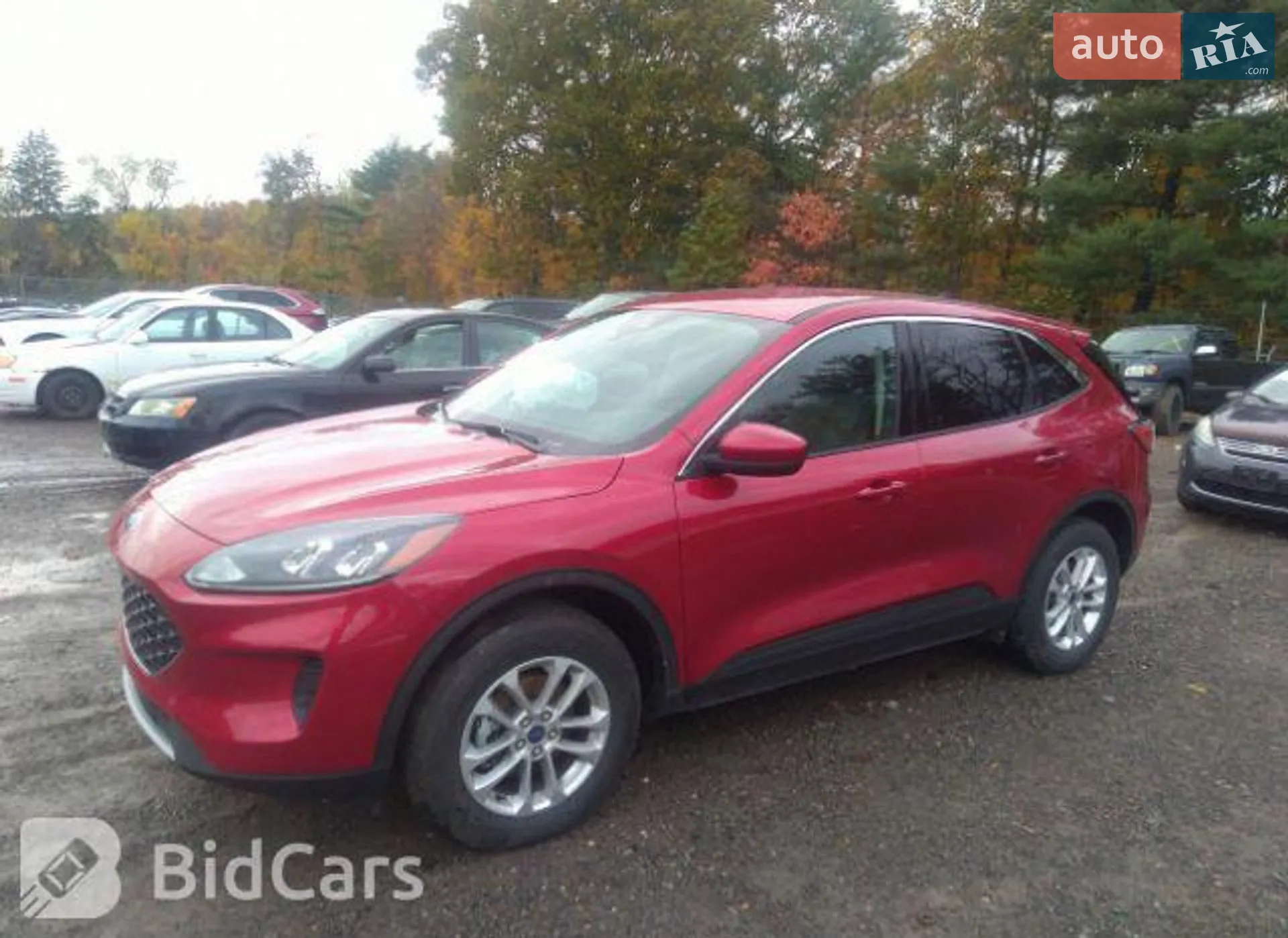 2020 Ford Escape - мініатюра 14