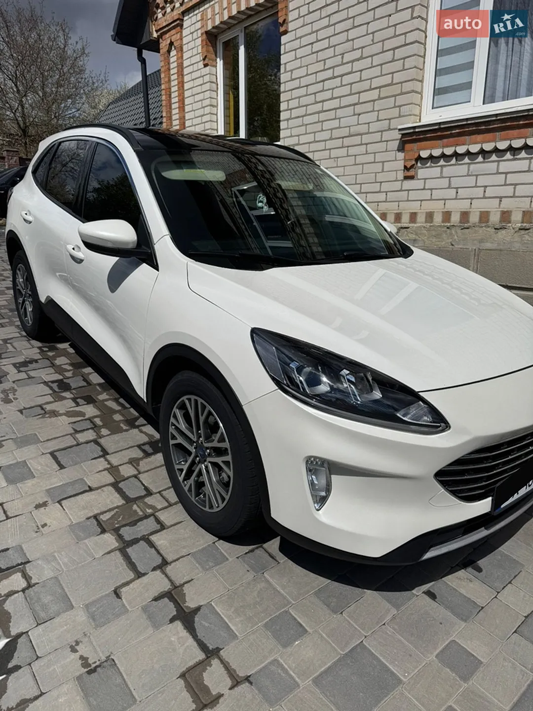 2019 Ford Escape - мініатюра 4