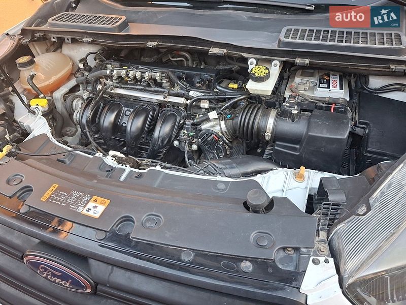 Внедорожник / Кроссовер Ford Escape 2019 в Изяславе