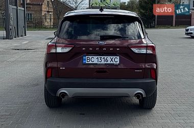 Внедорожник / Кроссовер Ford Escape 2021 в Львове