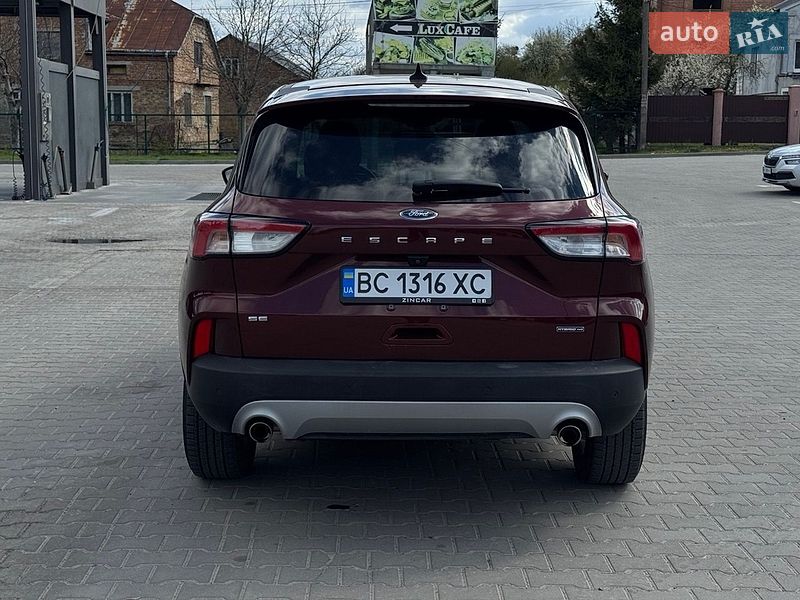 Внедорожник / Кроссовер Ford Escape 2021 в Львове