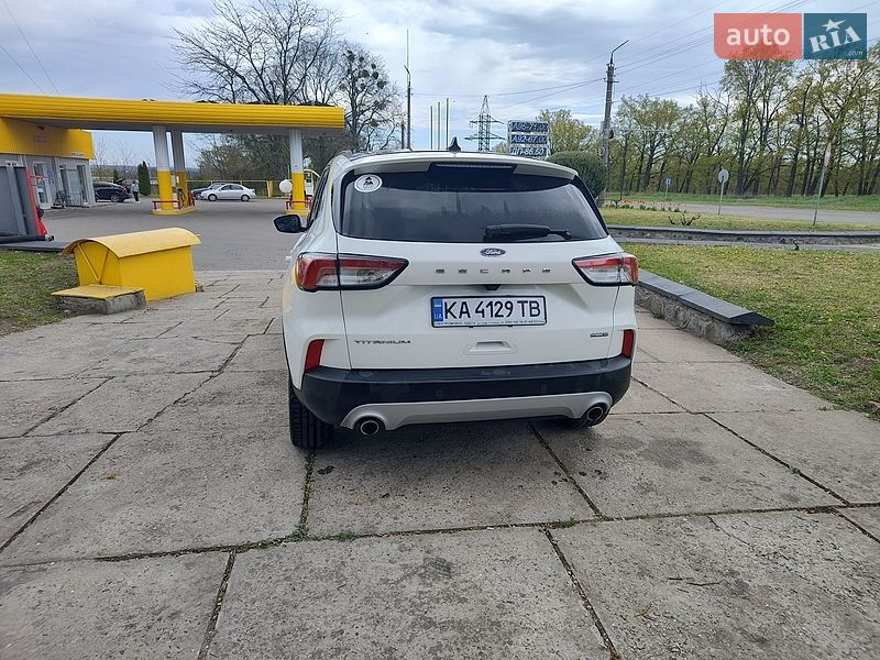 Внедорожник / Кроссовер Ford Escape 2022 в Смеле