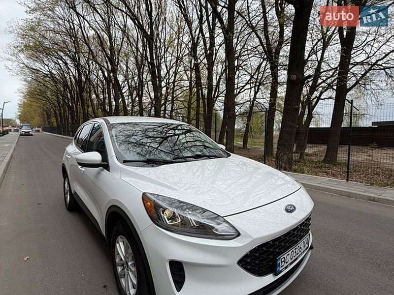 Внедорожник / Кроссовер Ford Escape 2019 в Чернигове