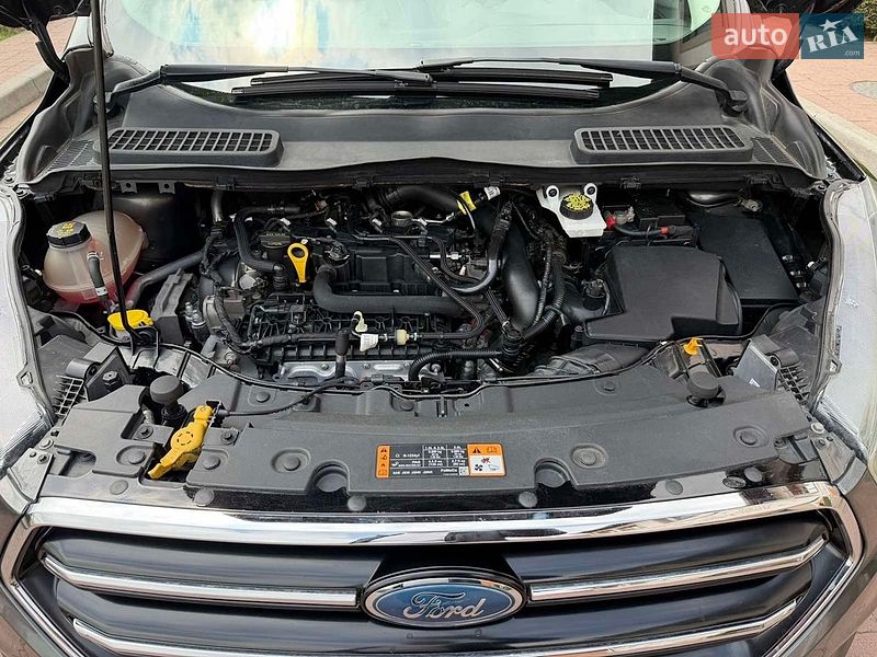 Позашляховик / Кросовер Ford Escape 2017 в Стрию фото 56 Позашляховик / Кросовер Ford Escape 2017 в Стрию