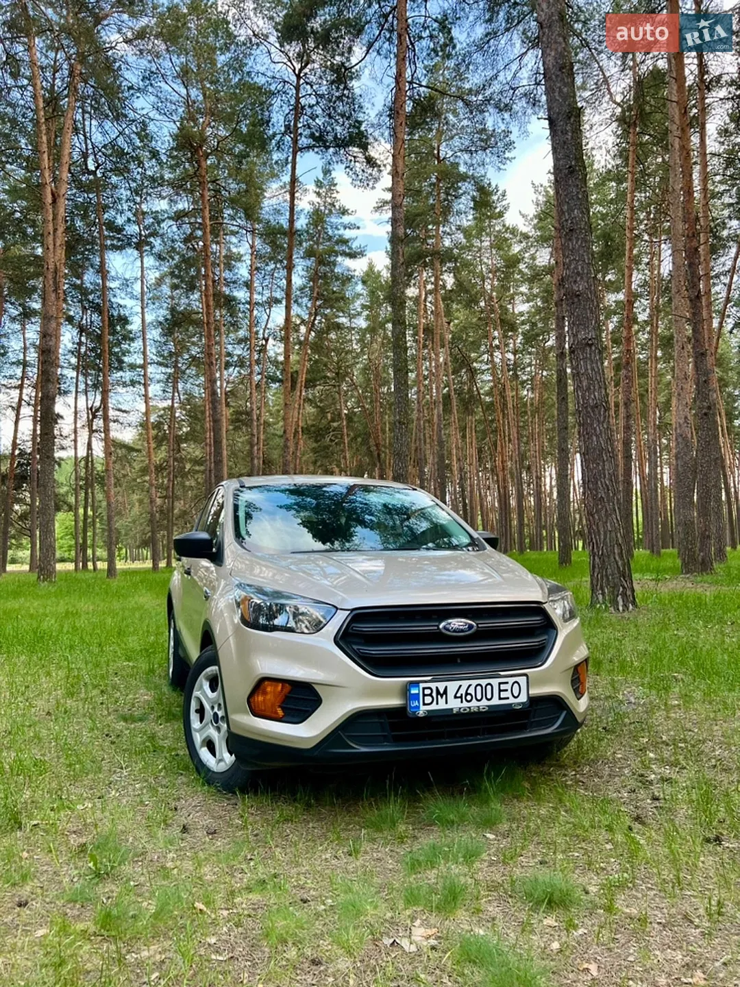 2017 Ford Escape - мініатюра 2