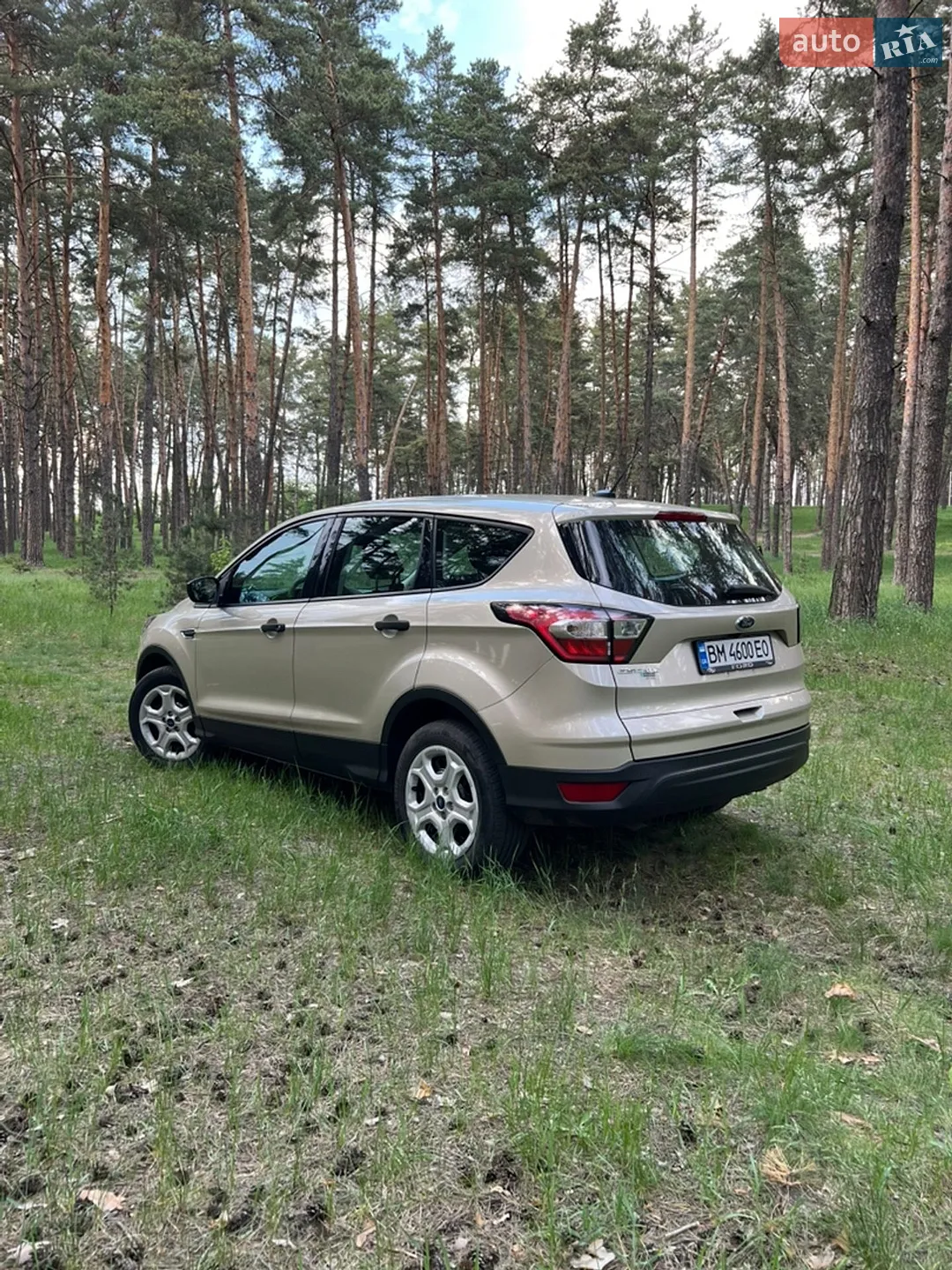 2017 Ford Escape - мініатюра 4