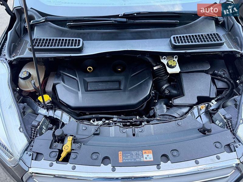 Внедорожник / Кроссовер Ford Escape 2019 в Сумах