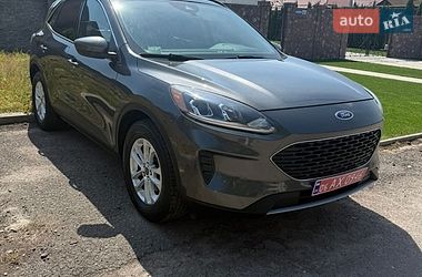Позашляховик / Кросовер Ford Escape 2020 в Житомирі