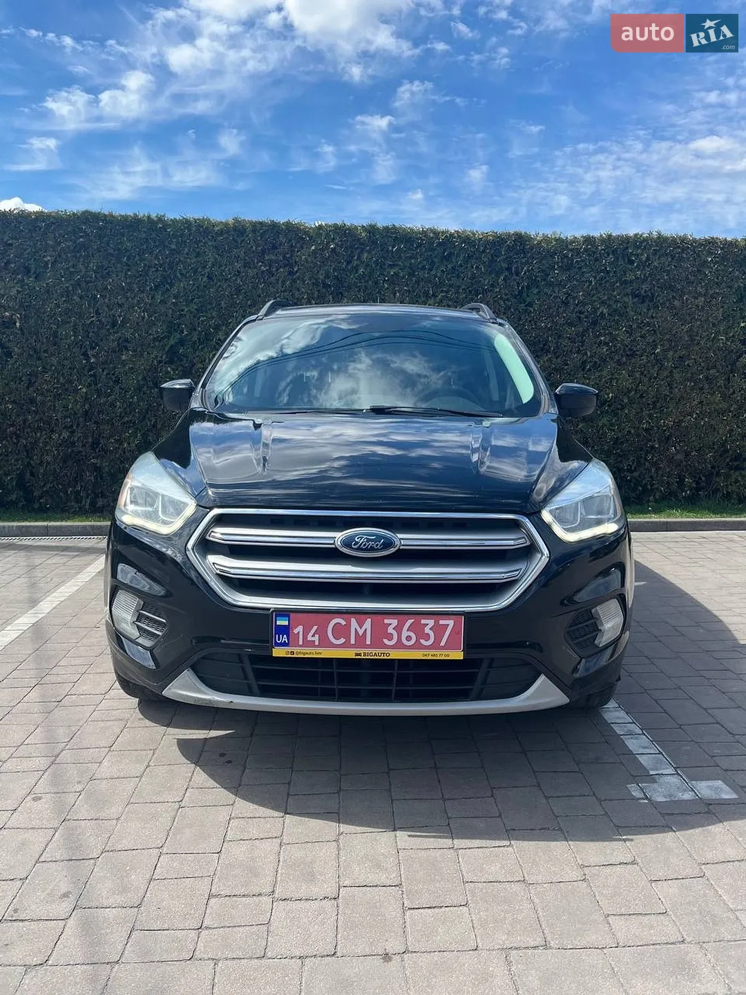 2017 Ford Escape - мініатюра 2