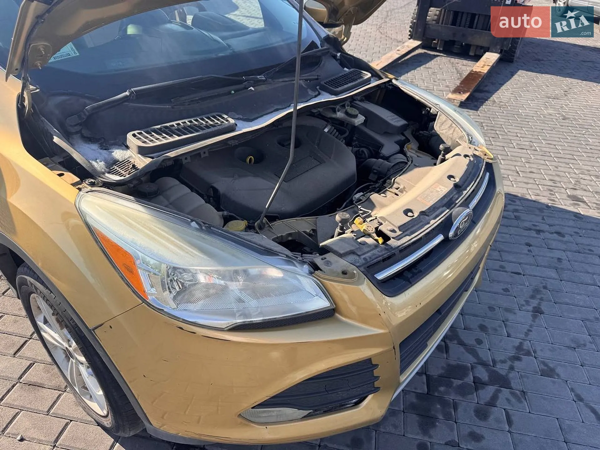 2014 Ford Escape - мініатюра 19
