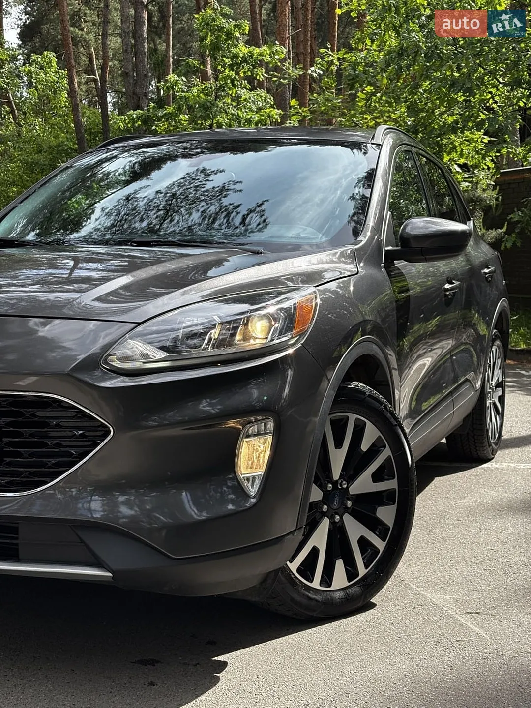 2019 Ford Escape - мініатюра 4