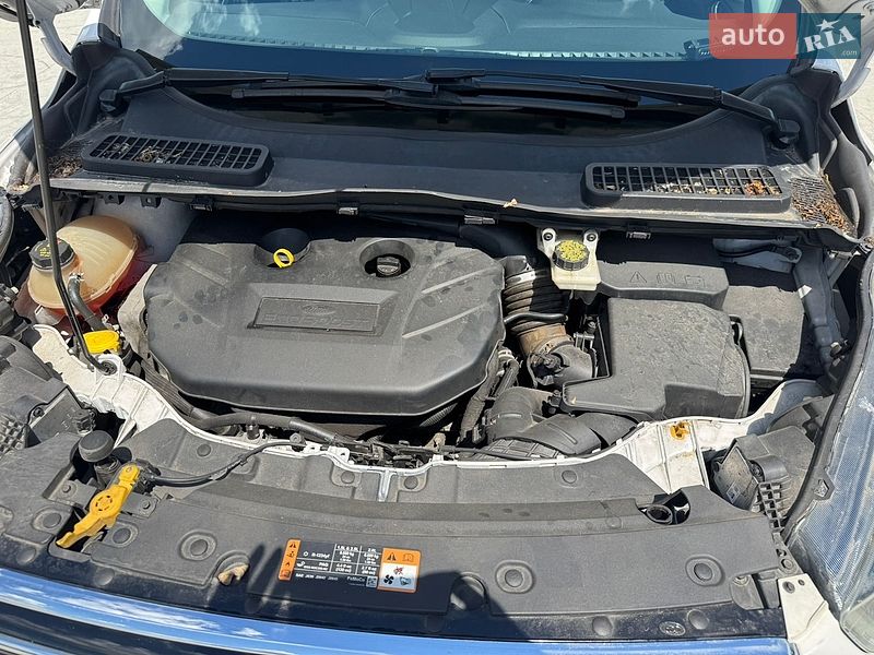 Внедорожник / Кроссовер Ford Escape 2016 в Киеве фото 6 Внедорожник / Кроссовер Ford Escape 2016 в Киеве