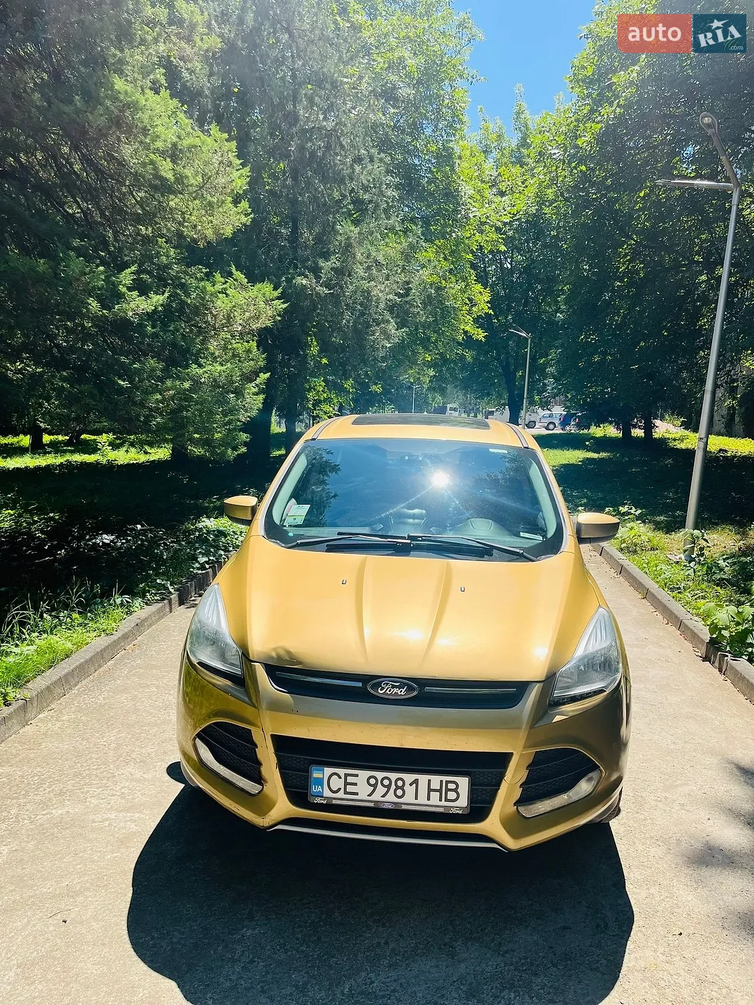 2014 Ford Escape - мініатюра 12