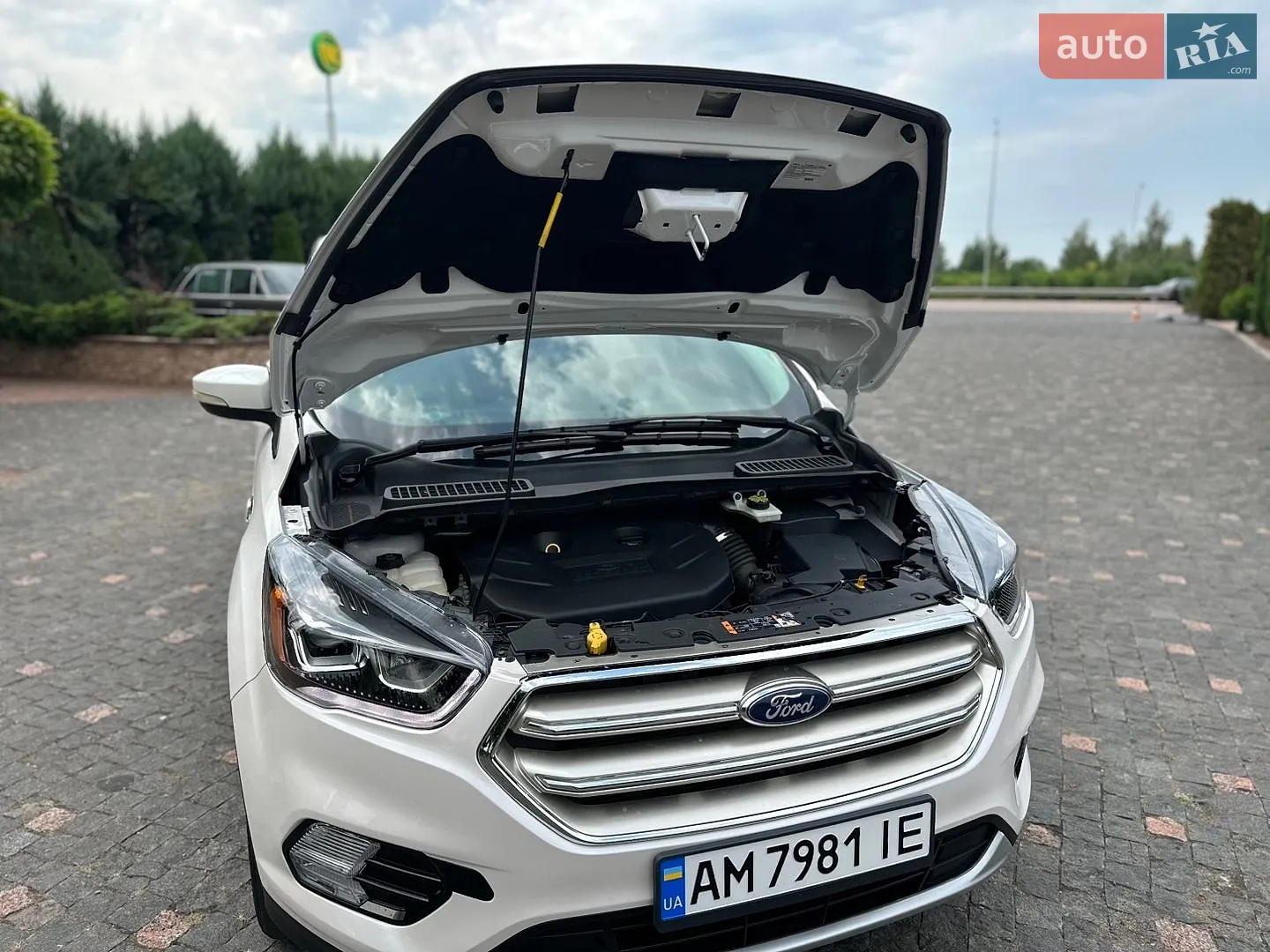 2015 Ford Escape - мініатюра 15