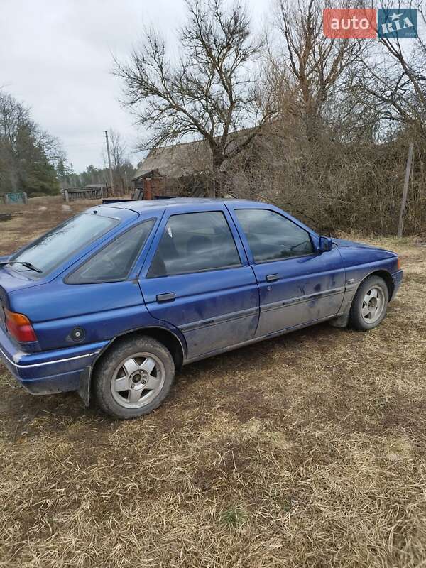 Хэтчбек Ford Escort 1991 в Ямполе фото 2 Хэтчбек Ford Escort 1991 в Ямполе