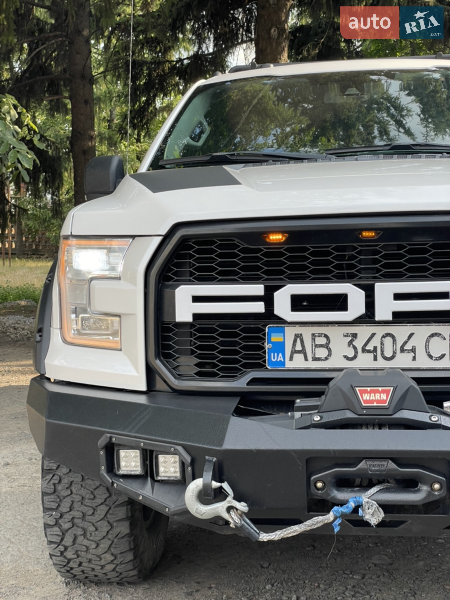 2016 Ford F-150 - мініатюра 13