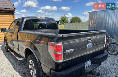 Пикап Ford F-150 2010 в 