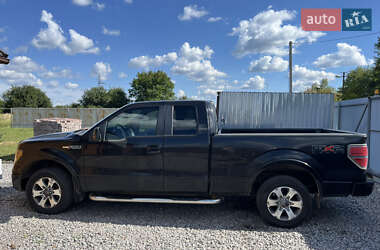 Пикап Ford F-150 2010 в 