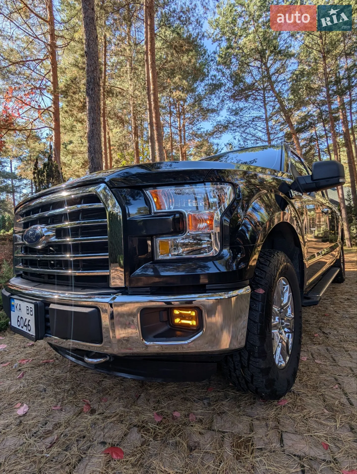 2016 Ford F-150 - мініатюра 14