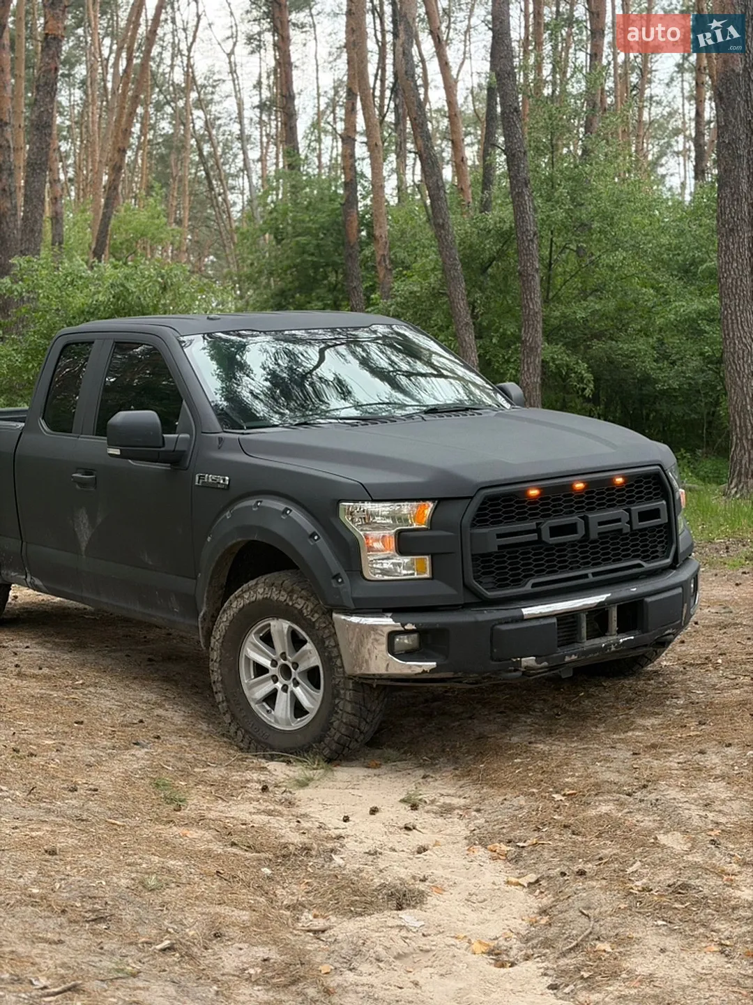 2015 Ford F-150 - мініатюра 2