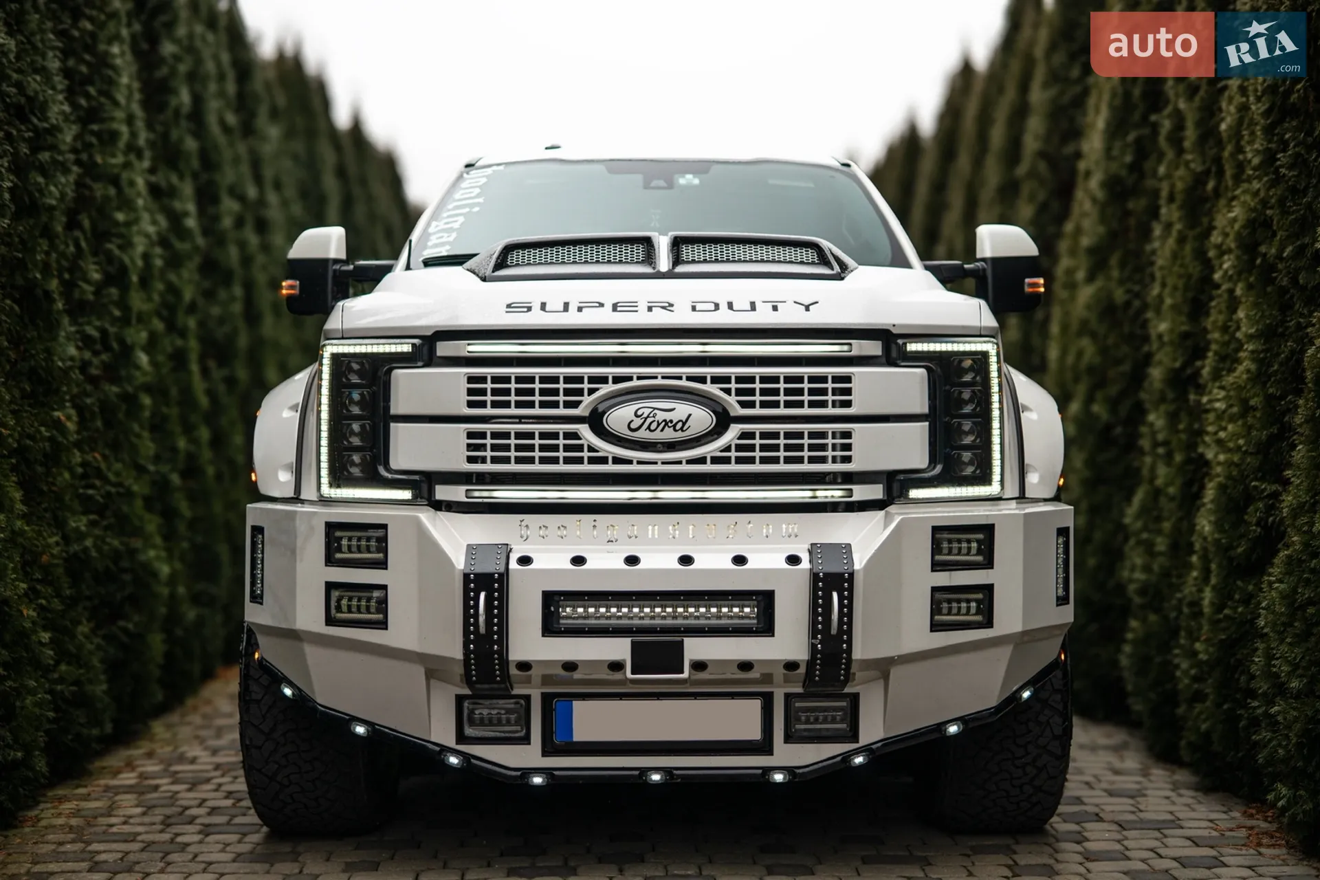 2017 Ford F250 - мініатюра 10