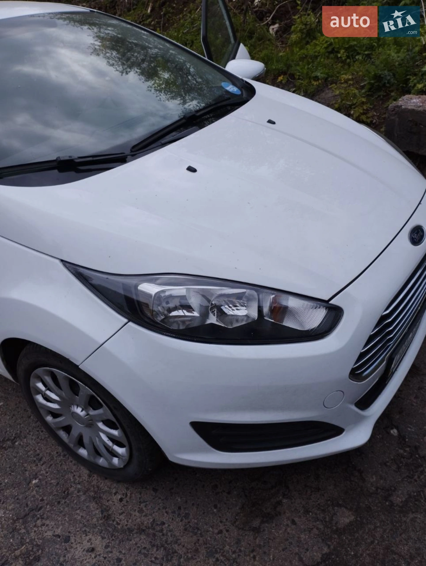 2013 Ford Fiesta - мініатюра 2