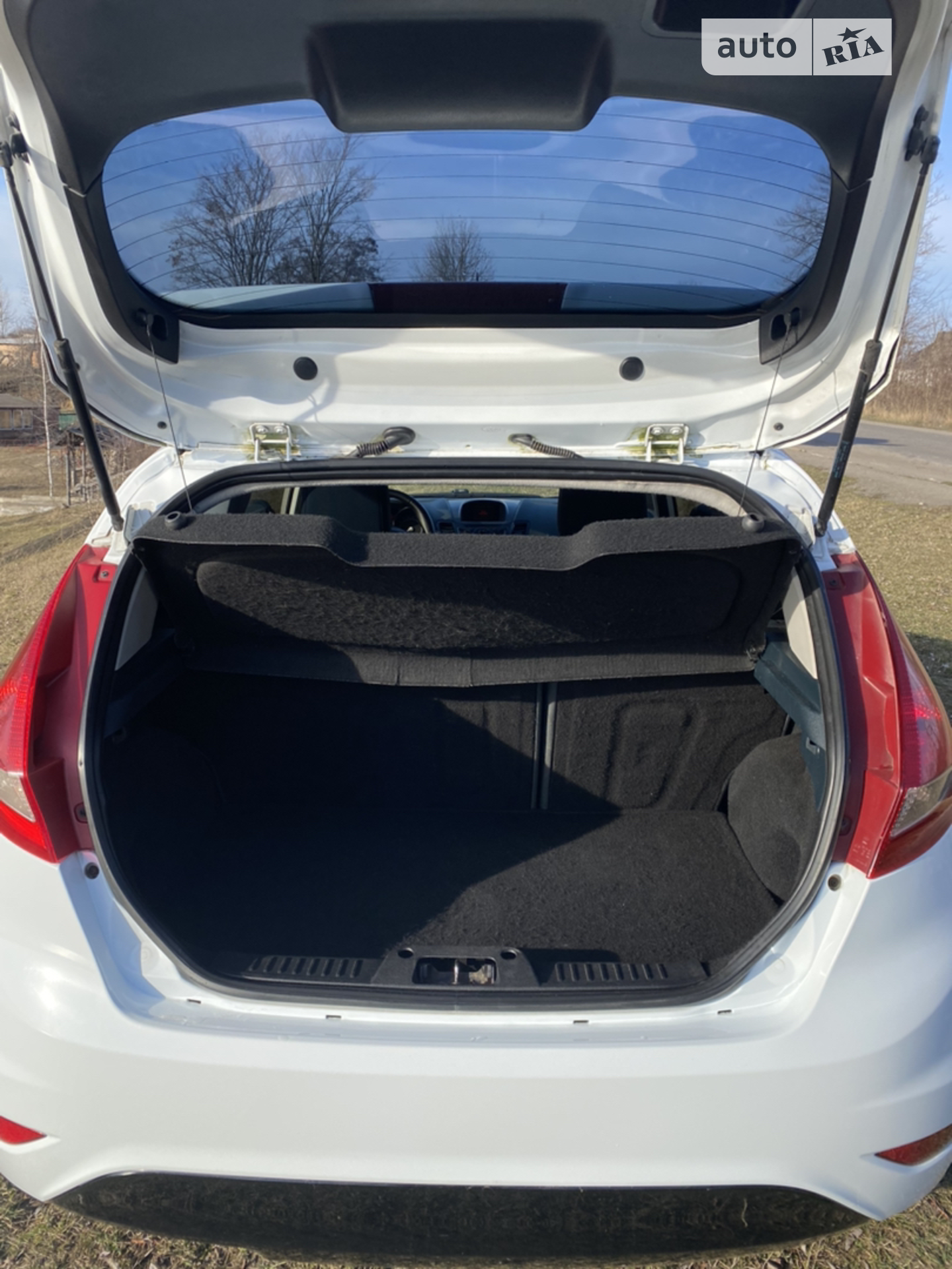 2010 Ford Fiesta - мініатюра 9