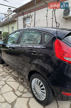 Хэтчбек Ford Fiesta 2010 в 