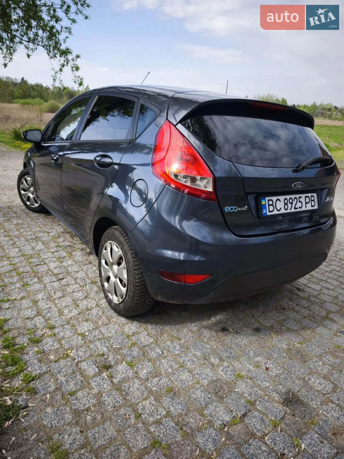 2010 Ford Fiesta - мініатюра 6