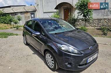 Хэтчбек Ford Fiesta 2010 в 