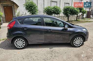 Хэтчбек Ford Fiesta 2010 в 
