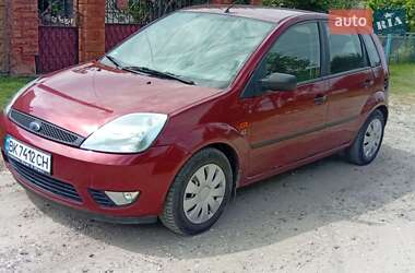 Хетчбек Ford Fiesta 2003 в Здолбуніві