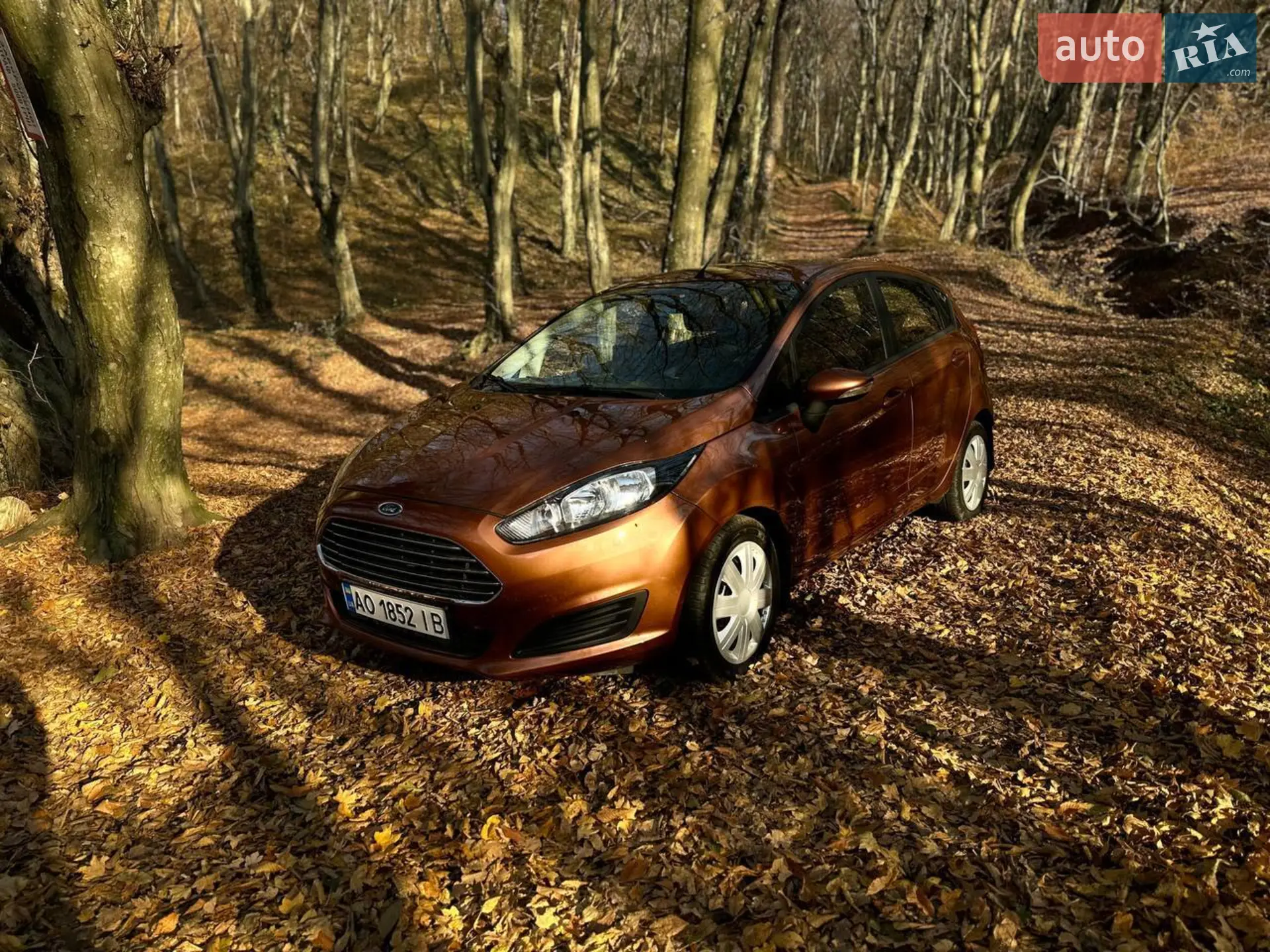 2015 Ford Fiesta - мініатюра 29