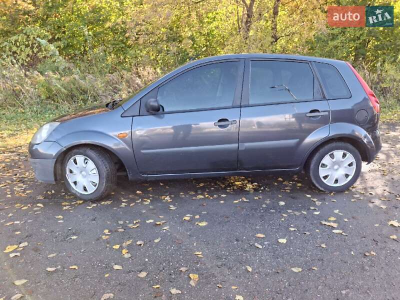 Хетчбек Ford Fiesta 2007 в Городку