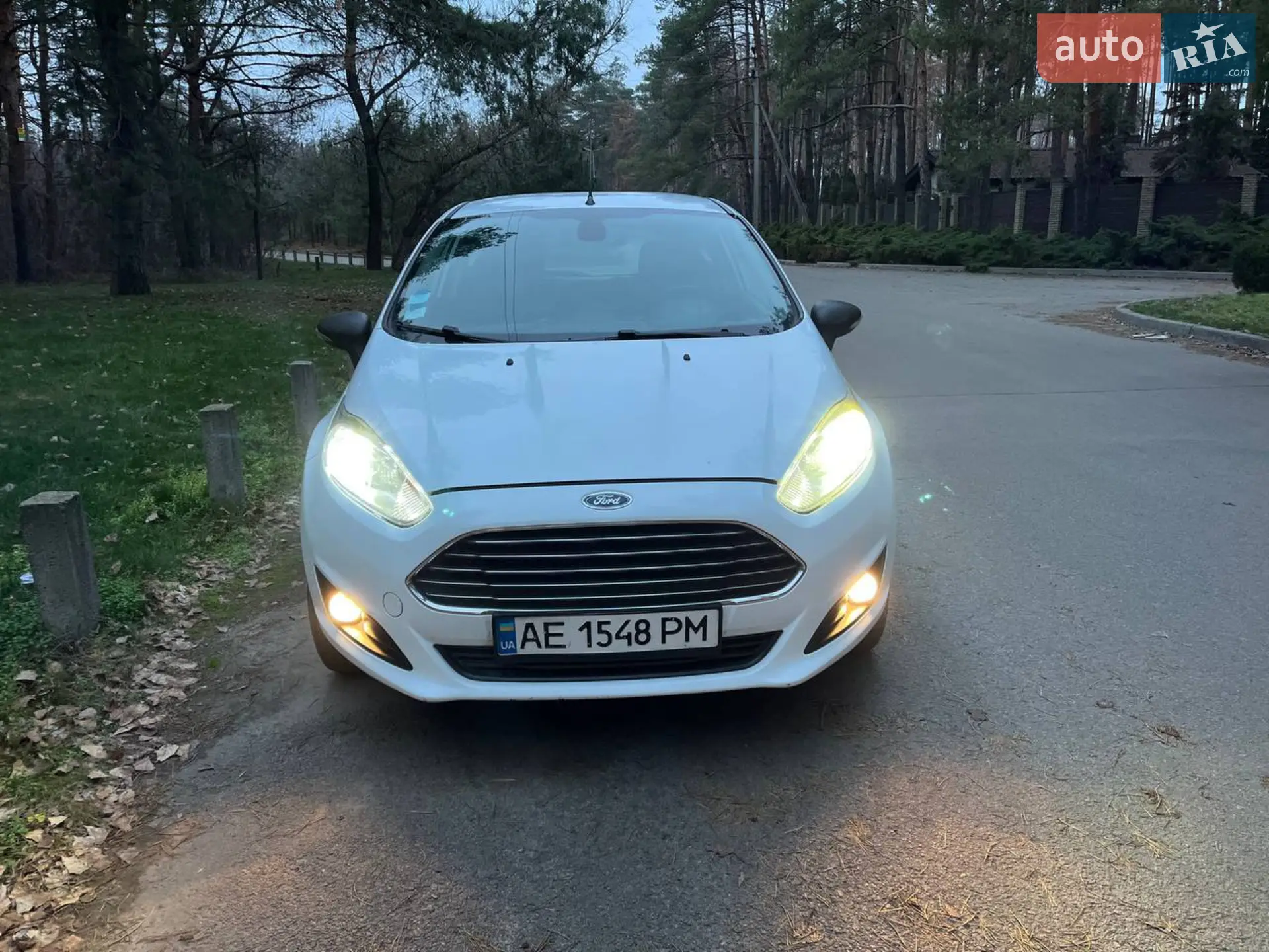 2013 Ford Fiesta - мініатюра 16
