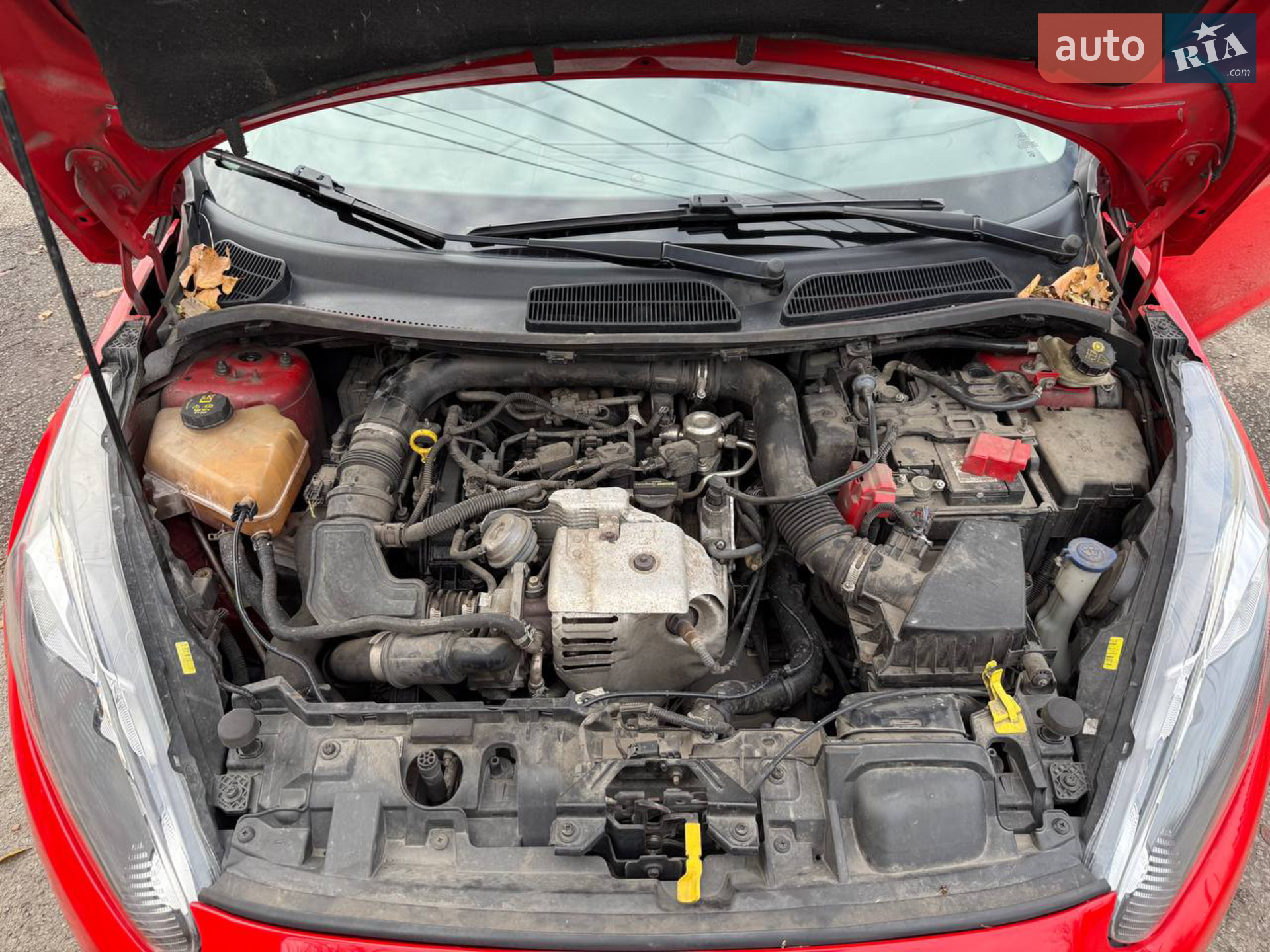 2013 Ford Fiesta - мініатюра 16