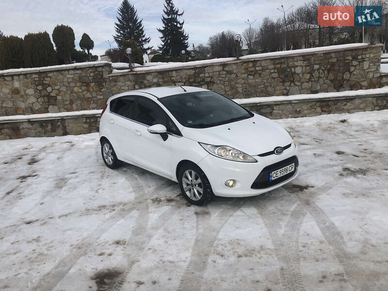 Хэтчбек Ford Fiesta 2009 в Новоднестровске