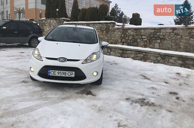 Хэтчбек Ford Fiesta 2009 в Новоднестровске