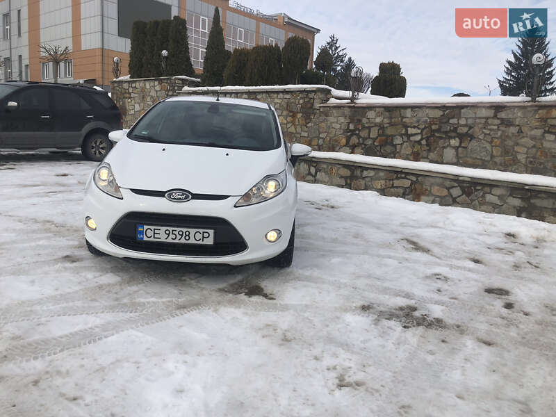 Хэтчбек Ford Fiesta 2009 в Новоднестровске
