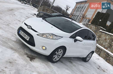 Хэтчбек Ford Fiesta 2009 в Новоднестровске