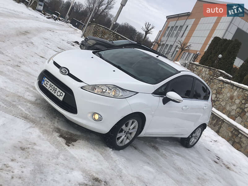 Хэтчбек Ford Fiesta 2009 в Новоднестровске