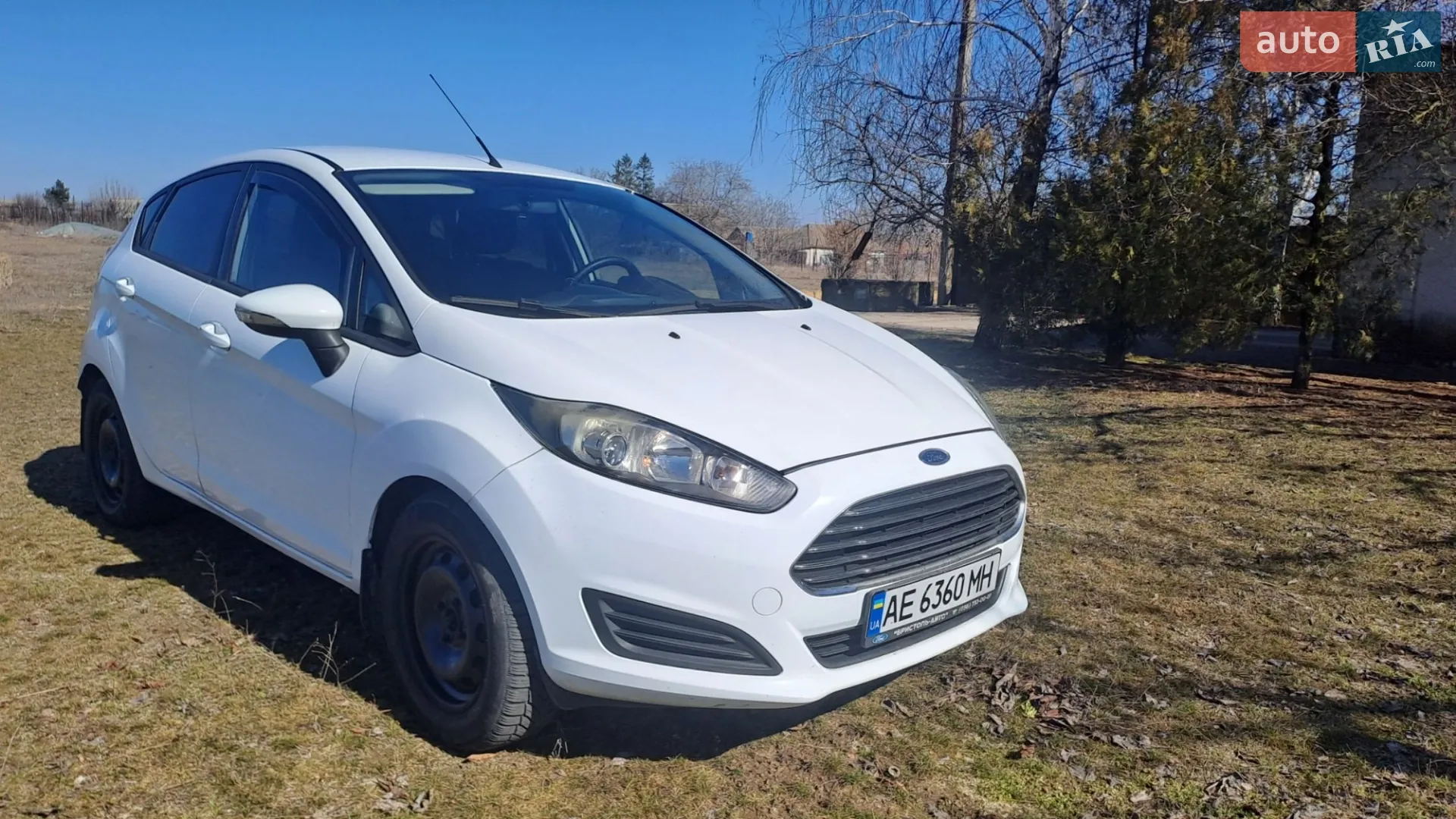 2013 Ford Fiesta - мініатюра 3