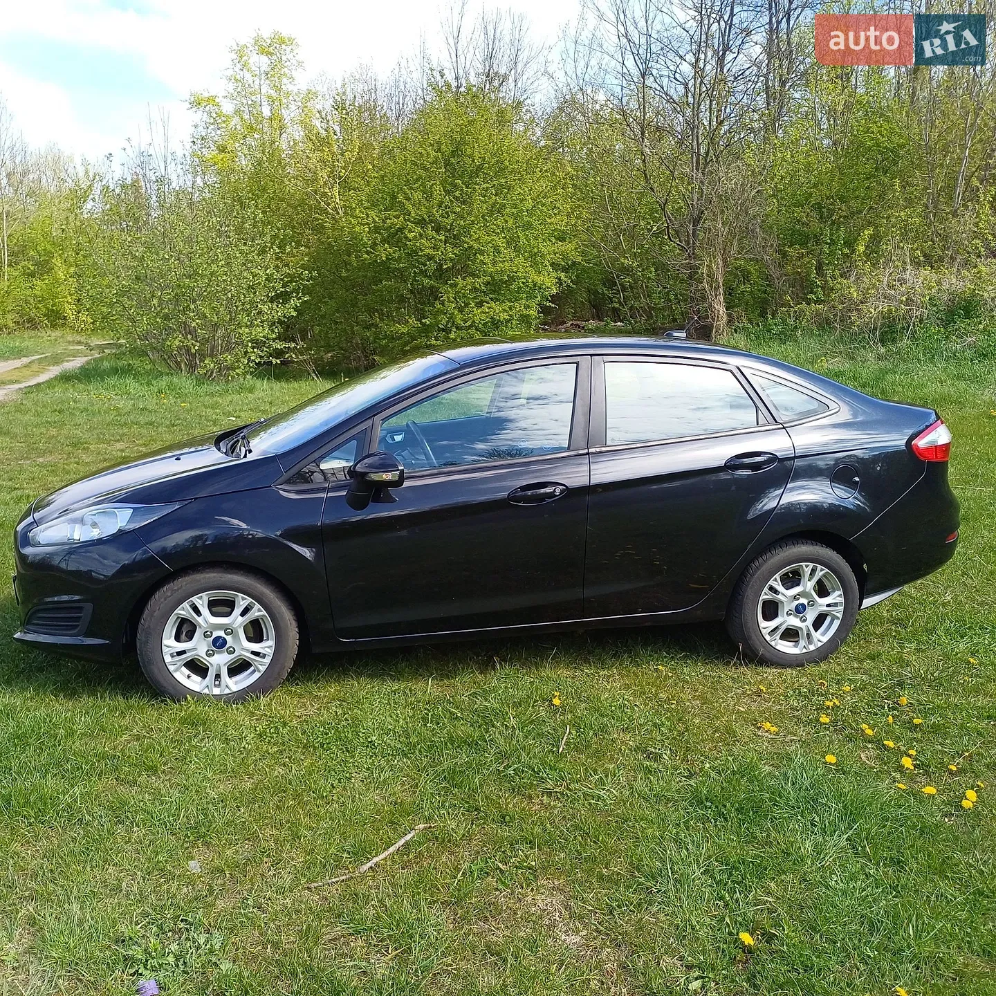 2015 Ford Fiesta - фото 1