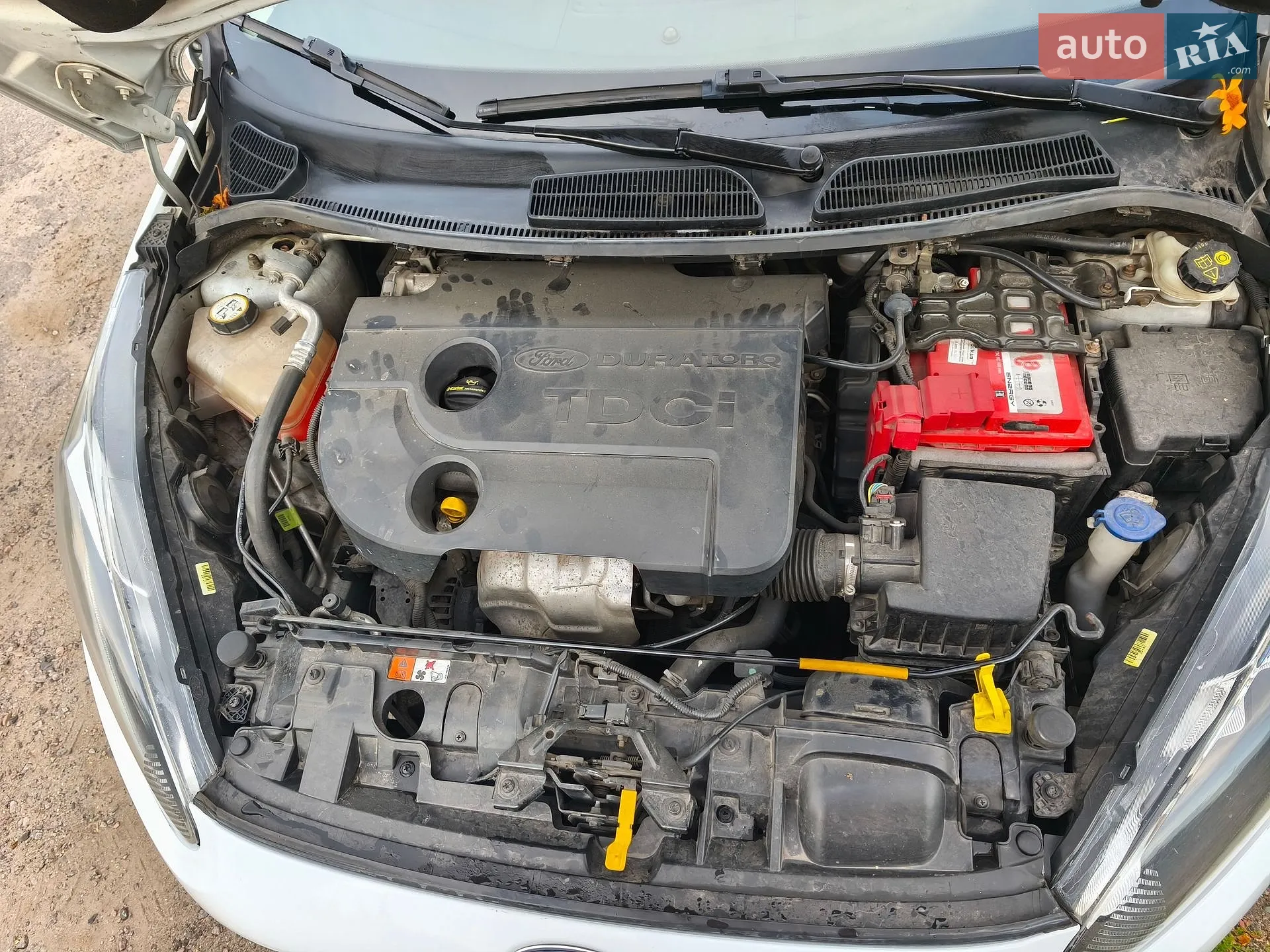 2013 Ford Fiesta - мініатюра 49