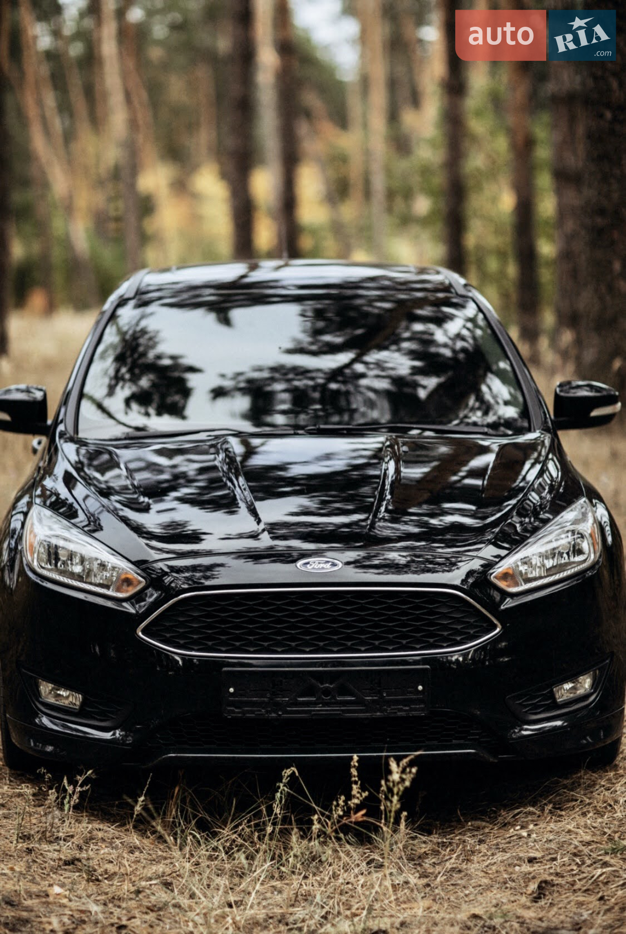 2016 Ford Focus - мініатюра 40