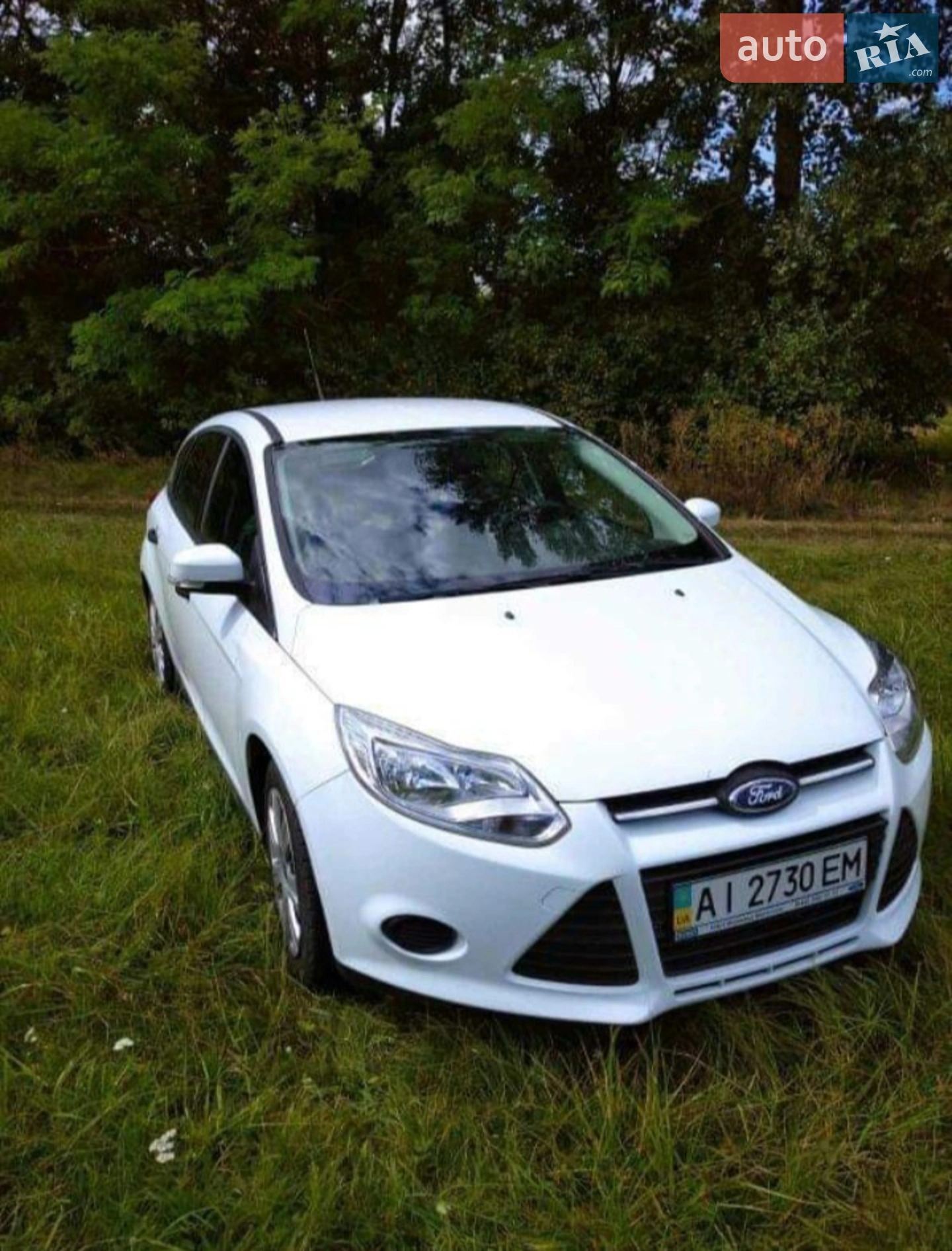 2014 Ford Focus - фото 1