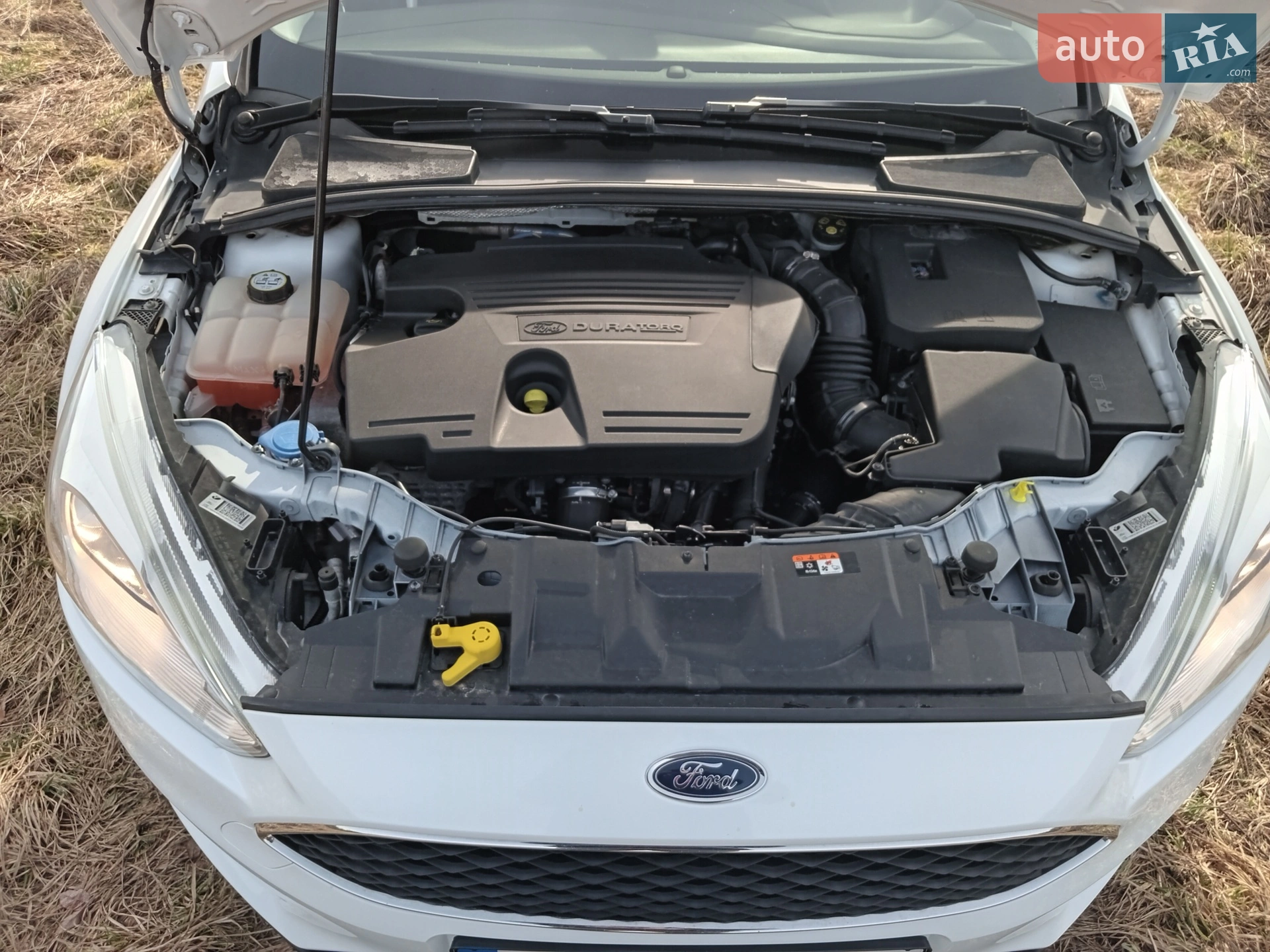 2016 Ford Focus - мініатюра 17