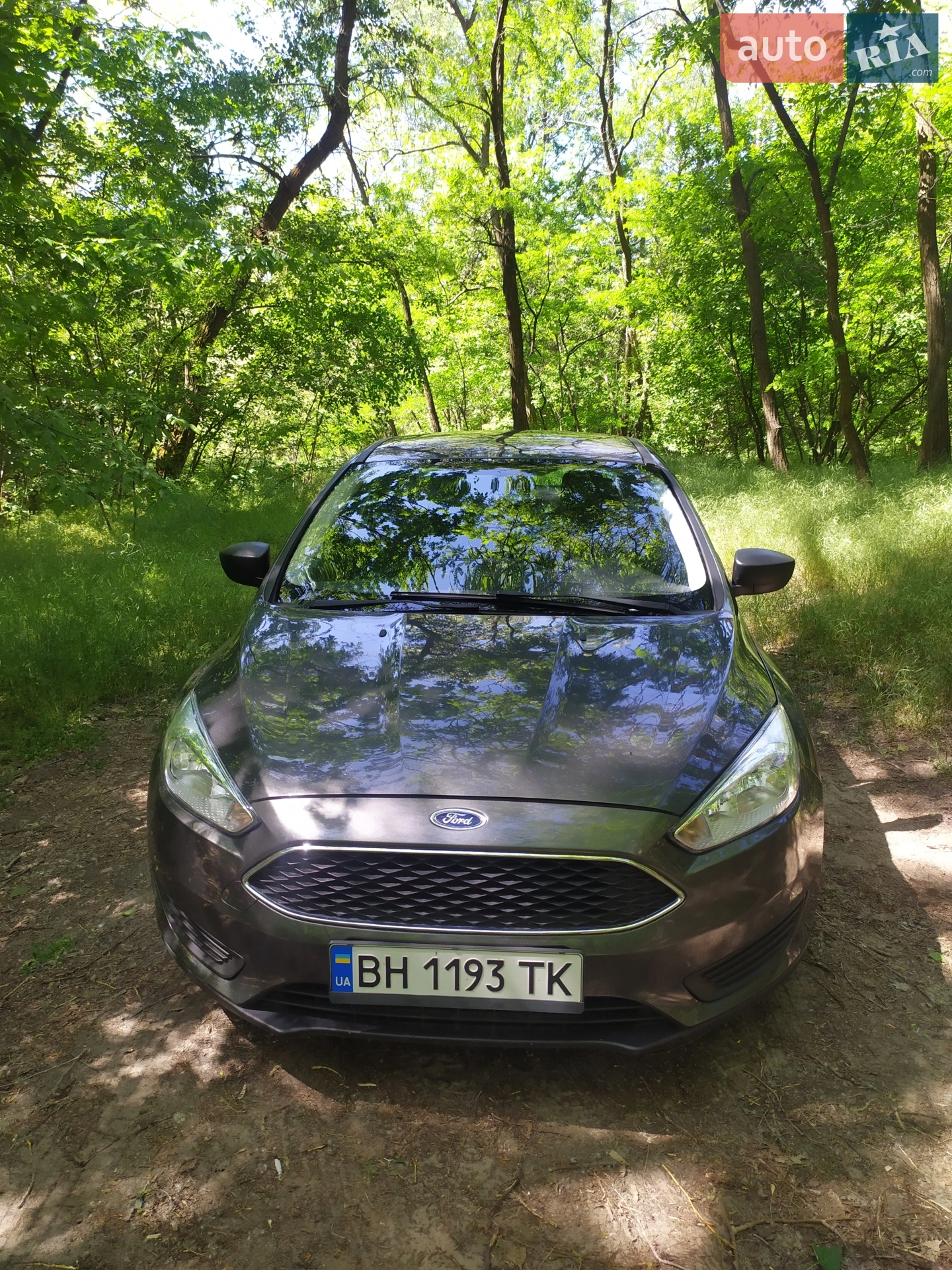 2015 Ford Focus - мініатюра 13